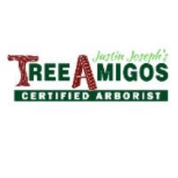 treeamigos