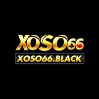 xoso66black