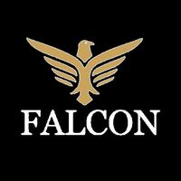 falconsgrup