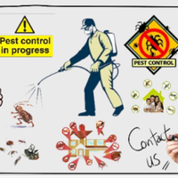 pestcontrolperth