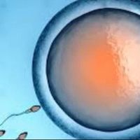 InfertilityTreatmentAdvances