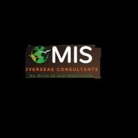 misconsultant