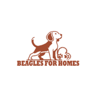beaglesforhomes