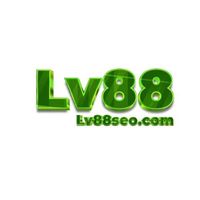 lv88seocom