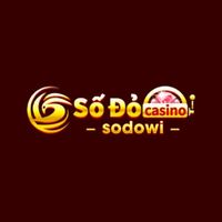 sodowibiz