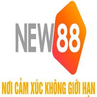 new88cco9