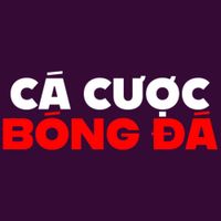 top10trangcacuoc