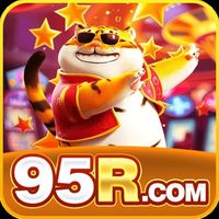 95rviporg
