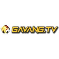 gavangtvwork