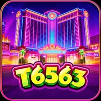 t6563org1