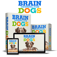 braintraining4dogs