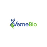 vernebio