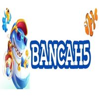 bancah5boats