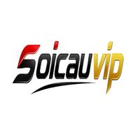soicauvipink
