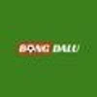 bongdaluguruu