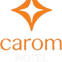 caromhotelmanali