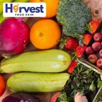 harvestfoodexim