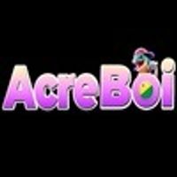 boi33art